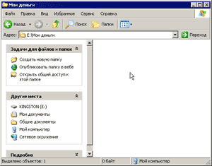 Папка программы на флеш-диске